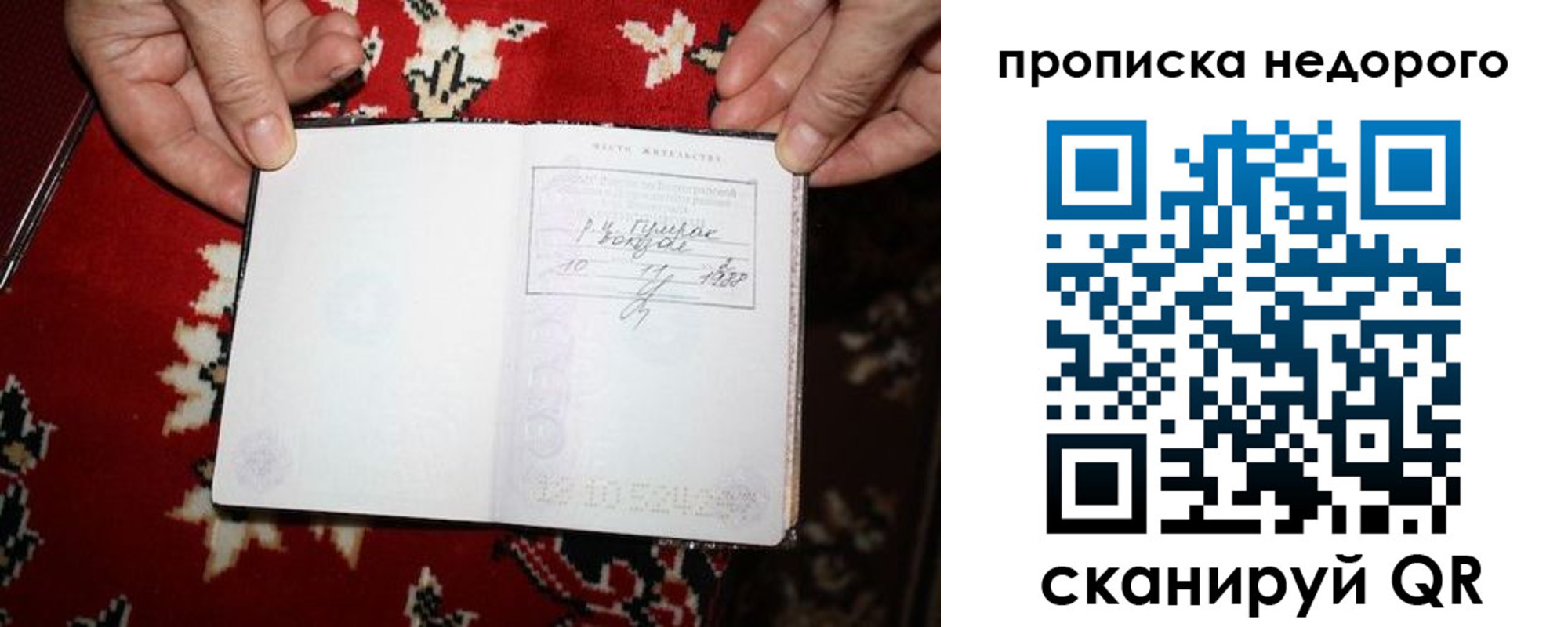 прописка гарантия в Белгороде